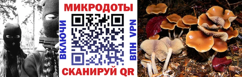 Галлюциногенные грибы прущие грибы  Павловский Посад 