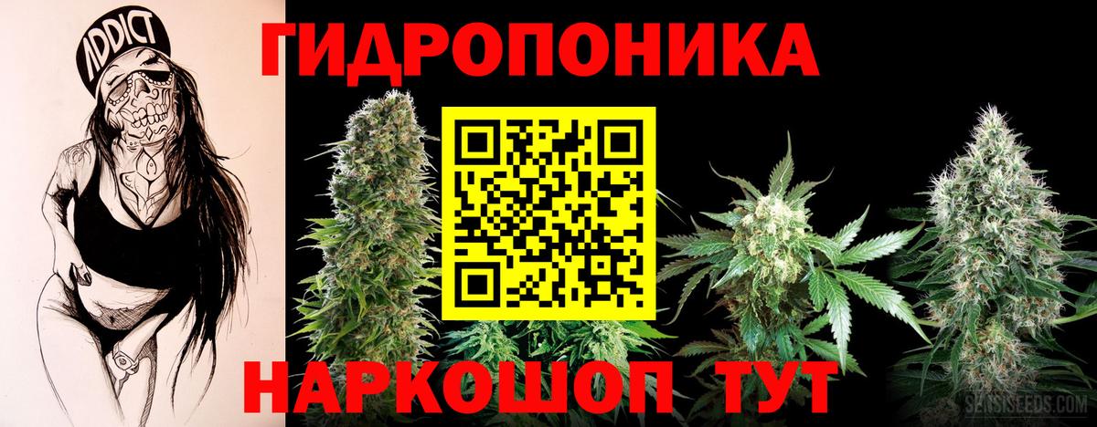 Каннабис семена Павловский Посад